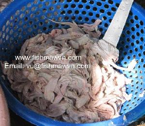 Sell Dried Swim Bladder