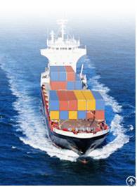 Ocean Freight From Shanghai / Shenzhen / Qingdao / Ningbo To Port Qasim / Tashkent / Karachi / Port 