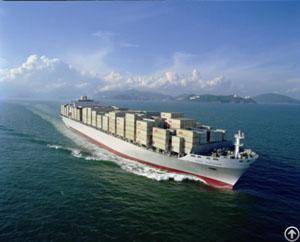 Ocean Freight From Shanghai To Oakland / Philadelphia / Port Everglandes