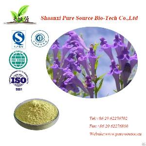 Scutellaria Baicalensis Extract Baicalin 85% Hplc