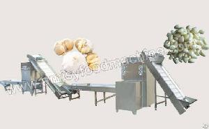 Garlic Peeling Production Line