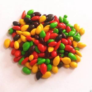 Colorful Sunflower Seed Coated With Chocolate