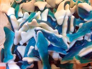Shark Dolphin Shaped Bulk Halal Gummy Candy