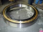 Supply Cylindrical Roller Bearing Nu19 / 500 Ma
