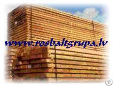 proline bugstop complex