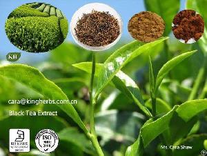 Black Tea Extract Theaflavins 25% 40% By Hplc