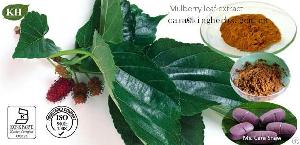 Mulberry Leaf Extract 1-dnj 1% 10% 20% 50% Hplc