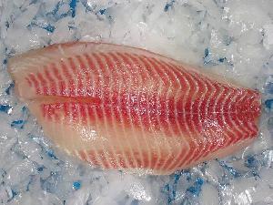 Frozen Tilapia Fillet Co Treated