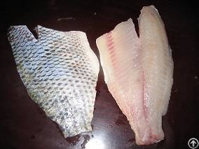 Frozen Tilapia Skin-on Fillet