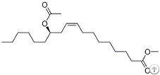 Methyl Acetyl Ricinoleate Exporter