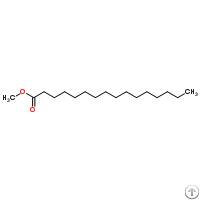 Palmitic Acid Methyl Ester Exporter