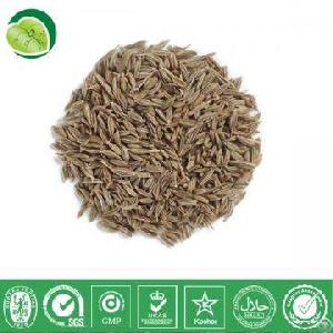 Cumin Seed Extract