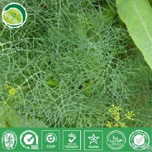 fennel extract