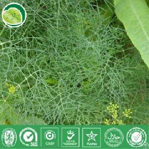 Fennel Extract