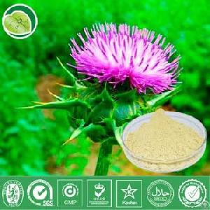 silybum marianum extract