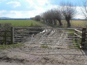 Hot Dipped Galvanized Farm Gate For Sale