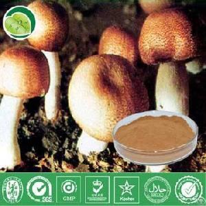 Agaricus Blazei Murill Powder