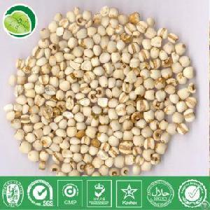 Coix Seed Extract