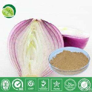 Dried Onion Powder