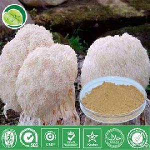 Hericium Erinaceus Powder