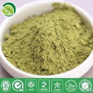 Mint Seasoning Powder