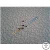 domino 4368 screw skt cap st m2x5