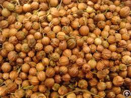 coriander seed
