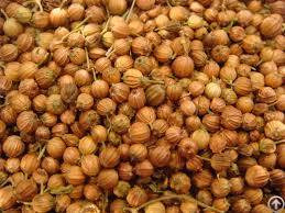 Coriander Seed