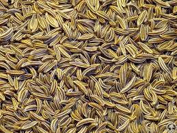 Cumin Seed