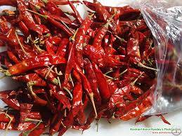 Dry Red Chilli