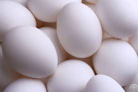 farm chicken eggs