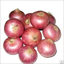 Indian Onion