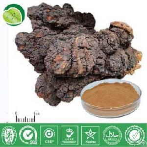 Chaga Mushroom Extract