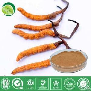 Cordyceps Mycelia Extract