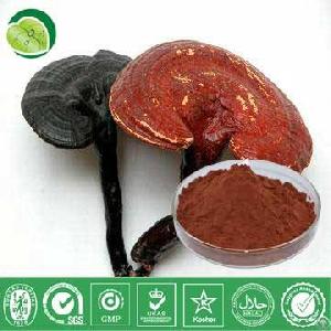 Ganoderma Extract