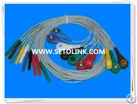 Holter Recorder Ecg Cable 10 Leadwires