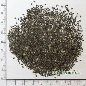 sesame chia seeds paraguay