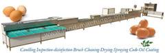 Automatic Egg Cleaning Grading Machine