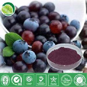 Acai Berry Extract