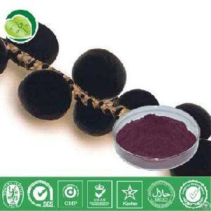 acai berry juice powder