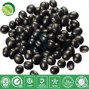 Black Bean Extract