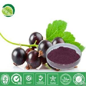 Blackcurrant Juice Powder