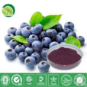 Blueberry Juice Powder