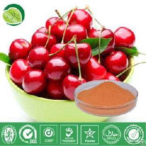 Cherry Juice Powder