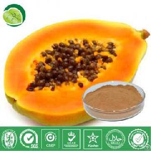 Papaya Juice Powder