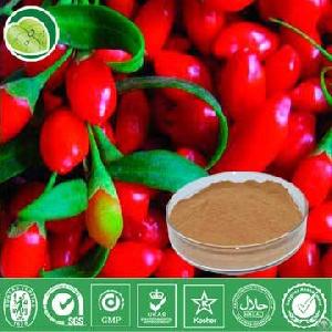 Wolfberry Extract