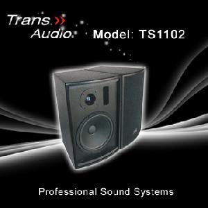 pa system sound speaker cabinet ts1102