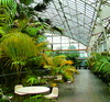 greenhouse canopy skylight