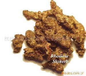 rhodiola rosea p e