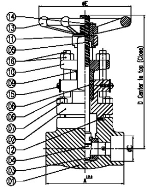 Socket Welded Gate Valve Os And Y